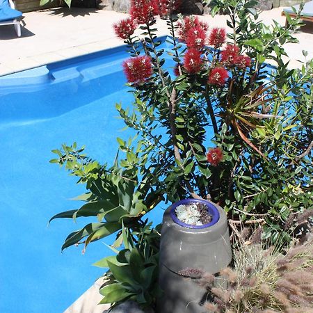Snells Beach Motel ภายนอก รูปภาพ